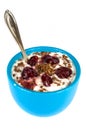 Yogurt and flax seeds Royalty Free Stock Photo