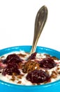 Yogurt and flax seeds Royalty Free Stock Photo