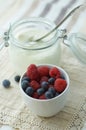 Yogurt and Fresh Berries Royalty Free Stock Photo