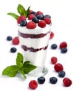 Yogurt and fresh berry parfait Royalty Free Stock Photo