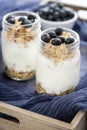 Yogurt with fresh blueberries and cereals Royalty Free Stock Photo