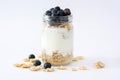 Yogurt with fresh blueberries and cereals Royalty Free Stock Photo