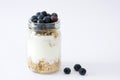 Yogurt with fresh blueberries and cereals Royalty Free Stock Photo