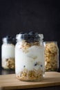 Yogurt with fresh blueberries and cereals Royalty Free Stock Photo