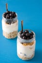 Yogurt with fresh blueberries and cereals Royalty Free Stock Photo