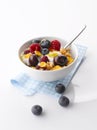 Yogurt with fresh Fruit and Granola Royalty Free Stock Photo