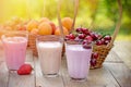 Yogurt with fresh organic fruits Royalty Free Stock Photo