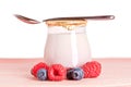 Yogurt and fresh raspberries and blueberries Royalty Free Stock Photo