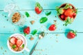 Yogurt with granola, nuts and fresh strawberry Royalty Free Stock Photo