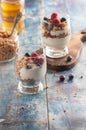 Yogurt with granola and raspberries black chorynitsa and honey Royalty Free Stock Photo