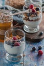 Yogurt with granola and raspberries black chorynitsa and honey Royalty Free Stock Photo