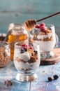 Yogurt with granola and raspberries black chorynitsa and honey Royalty Free Stock Photo