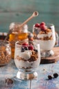 Yogurt with granola and raspberries black chorynitsa and honey Royalty Free Stock Photo