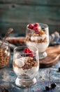 Yogurt with granola and raspberries black chorynitsa and honey Royalty Free Stock Photo