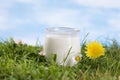 Yogurt on the grass with flowers