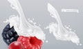 Yogurt, milk splash with berries. 3d vector