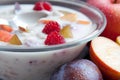Yogurt mixed with fruit pieces Royalty Free Stock Photo