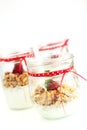 Yogurt and muesli Royalty Free Stock Photo