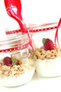 Yogurt and muesli Royalty Free Stock Photo