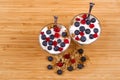 Yogurt, muesli and berries of blueberry, bog bilberry and stone Royalty Free Stock Photo