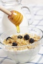 Yogurt, muesli, blackberry, and honey Royalty Free Stock Photo