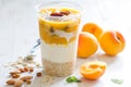 Yogurt with oatmeal, apricots, raisins and almonds. Healthy and nutritious snack