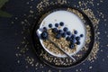 Yogurt, oatmeal, blueberries delicious homemade a dark background