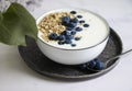 Yogurt, oatmeal, blueberries health raw morning a light background