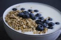 Yogurt, oatmeal, blueberries homemade a dark background