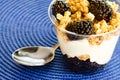 Yogurt parfait with fruit Royalty Free Stock Photo