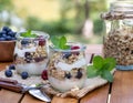 Yogurt parfait with granola, blueberries and raspberries garnished with mint