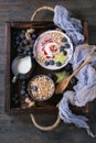 Yogurt smoothie bowl Royalty Free Stock Photo