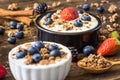 Yogurt with Strawberry, Blueberries and Muesli Royalty Free Stock Photo