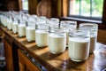 Yogurts and sour cream from home farm production in glass jars. Milk products. Home production of fermented milk products. Fresh