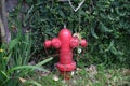 Hydrants placed at the edge of the park