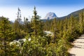 Yoho river view yoho national park british columbia, canada