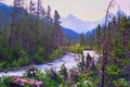 Yoho river, Yoho National Park