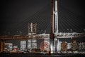 Yokohama Bay Bridge and Yokohama Minato Mirai of night view Royalty Free Stock Photo