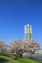 Yokohama Landmark Tower and the cherry blossoms