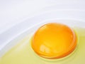 Yolk