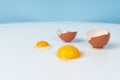 Yolk of broken egg in eggshell decorated with pink sisal nest on Royalty Free Stock Photo