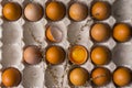 Yolk of broken egg in eggshell and several eggs in carton egg bo Royalty Free Stock Photo