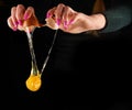 Yolk dropping from cracked raw egg divided by woman hands.