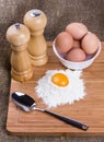 Yolk, eggs of house hens, spoon, salt and pepper