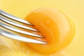 Yolk with fork Royalty Free Stock Photo