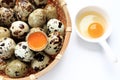 Yolk quail egg without shell and raw quail eggs in basket on white background. Royalty Free Stock Photo