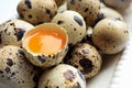 Yolk quail egg without shell and raw quail eggs in bowl on white background.