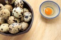 Yolk quail egg without shell and raw quail eggs in wooden bowl on wood table.