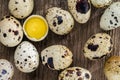 Yolk quail eggs without shell. Quail eggs on a wood background