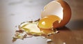 Yolk and Shell - Broken egg on the floor with copy space Royalty Free Stock Photo